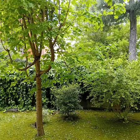 Apartman Lida
